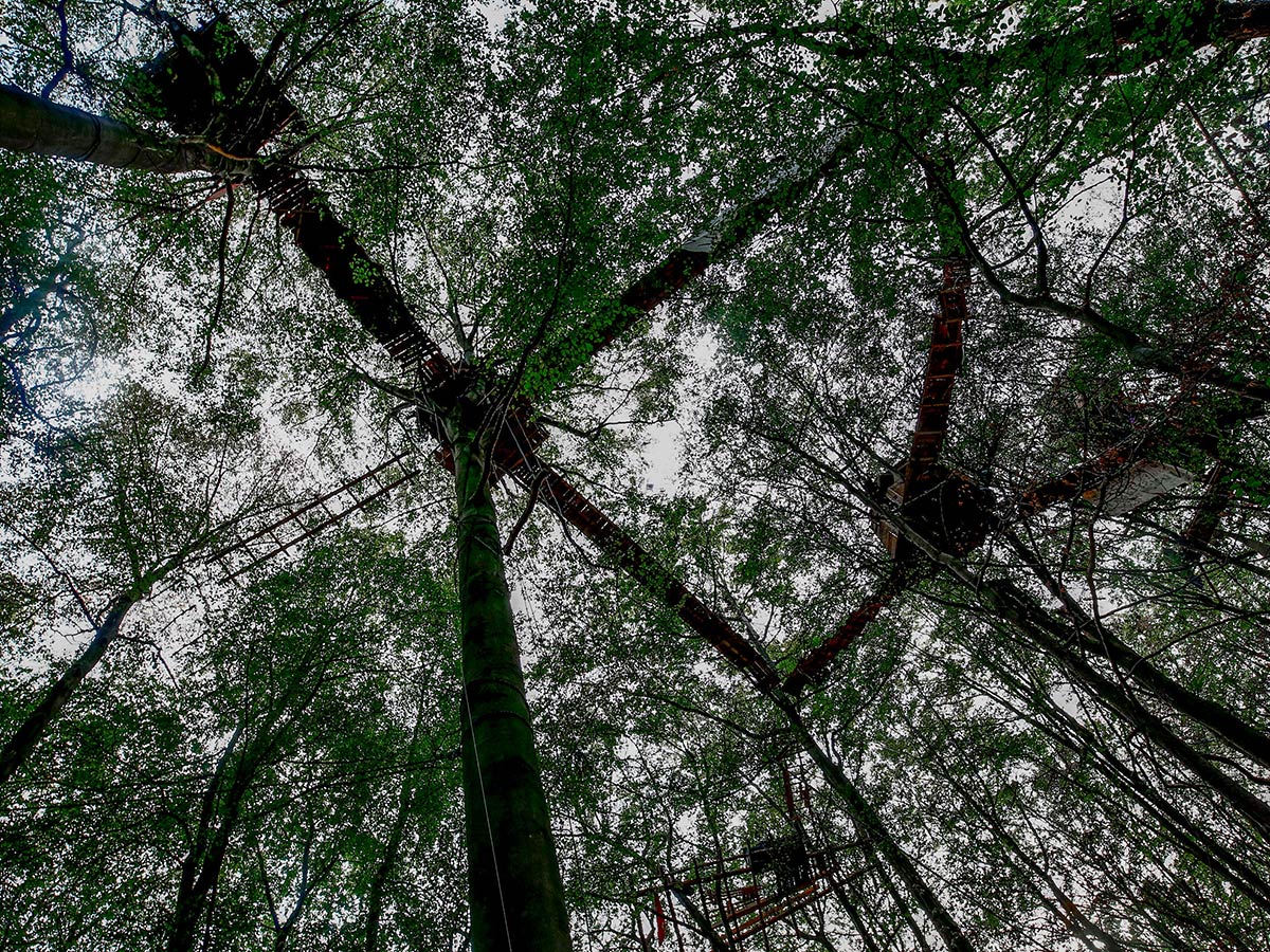 1/16&emsp;&emsp;&emsp;&emsp;Treehouses at Hambacher Forst" 2018