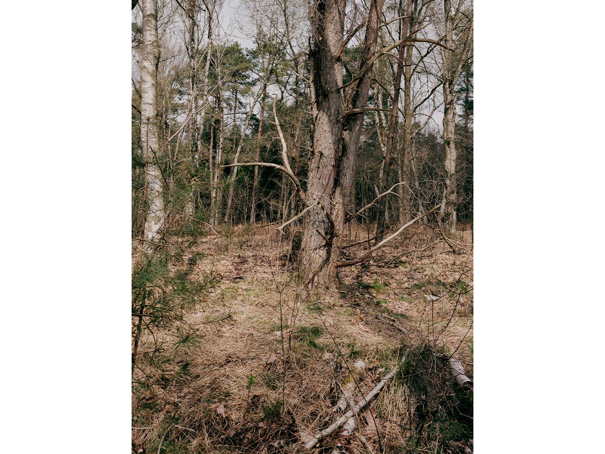 2/7&emsp;&emsp;&emsp;&emsp;Finding Louis - for the Boston Globe magazine